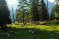 2015-07-02_2Hahnenkampl (567).JPG